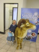 Shofar Factory