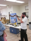 Shofar Factory