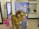 Shofar Factory